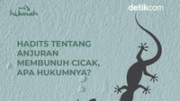 Anjuran Membunuh Cicak dalam Hadits, Berpahala 100 Kebaikan