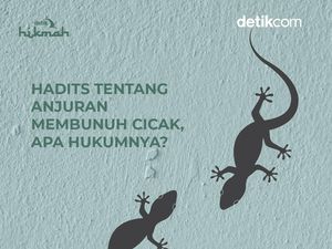 Anjuran Membunuh Cicak dalam Hadits, Berpahala 100 Kebaikan