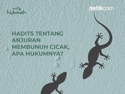 Anjuran Membunuh Cicak dalam Hadits, Berpahala 100 Kebaikan