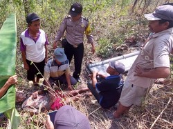 Hilang 3 Hari, Seorang Kakek Ditemukan Lemas Tersesat di Hutan Tulungagung
