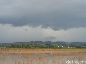 Pesona Setu Sedong, Destinasi Wisata Murmer di Cirebon