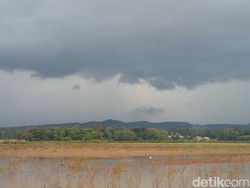 Pesona Setu Sedong, Destinasi Wisata Murmer di Cirebon