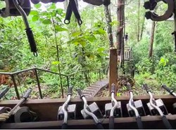 Hujan Berhari-hari, Turis Tewas Tertimpa Pohon Tumbang Saat Main Zipline