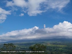 Gunung Semeru Erupsi Pagi Ini, Tinggi Kolom Abu Capai 600 M