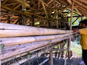 Gigitan Hewan Buas yang Tewaskan 8 Kambing di Sukabumi