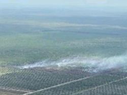Lahan 5 Hektare di Muara Enim yang Terbakar Belum Padam