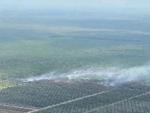 Lahan 5 Hektare di Muara Enim yang Terbakar Belum Padam