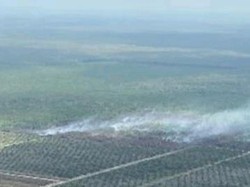 Lahan 5 Hektare di Muara Enim yang Terbakar Belum Padam
