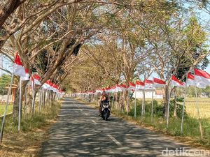 Pengibaran 1.708 Bendera di Ngombol Purworejo Jadi Spot Swafoto Warga