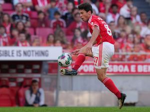 PSG Resmi Datangkan Joao Neves dari Benfica