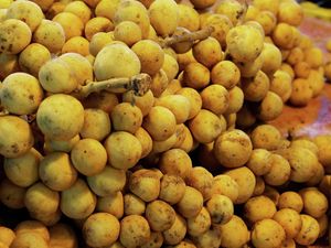 Duh! Wanita Ini Dipenjara Usai Jual Buah yang Dihinggapi Lalat Duh! Wanita Ini Dipenjara Usai Jual Buah yang Dihinggapi Lalat