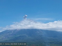 Semeru Erupsi 3 Kali Pagi Ini, Ketinggian Letusan Abu Vulkanik 500-800 M