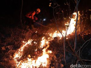 7 Hektare Lahan Hutan Jati di Gunung Gombak Ponorogo Terbakar 7 Hektare Lahan Hutan Jati di Gunung Gombak Ponorogo Terbakar