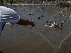 Potret Warga Serbu PLTA Saat Pengurasan Kolam Gegara Banyak Ikan