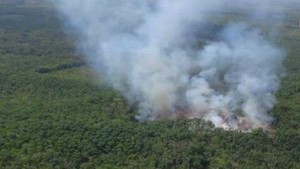Mura dan Ogan Ilir Naik Status, Total 10 Pemda di Sumsel Siaga Darurat Karhutla