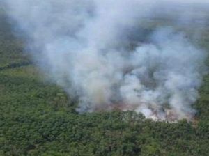 346 Kejadian Karhutla di Sumsel, Kasus di 5 Daerah Zona Merah Meningkat