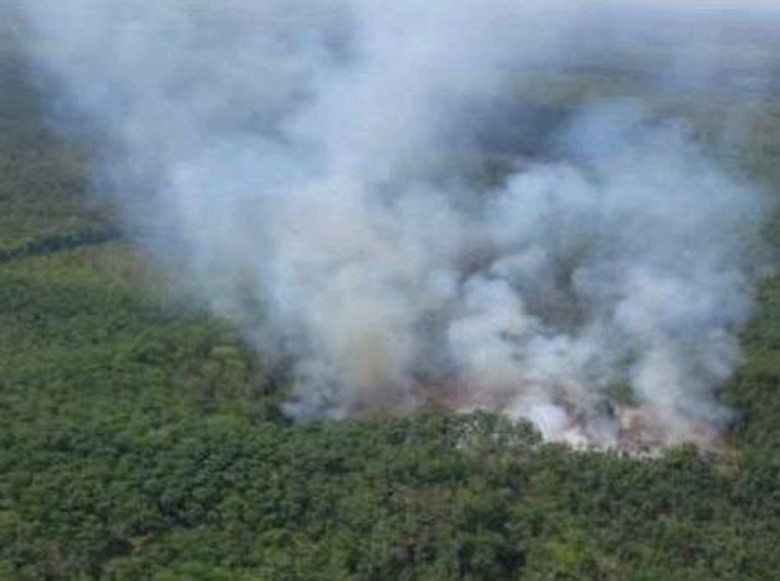 Pemadaman Karhutla di 5 Wilayah Sumsel Terkendala Sulitnya Sumber Air