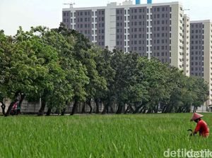 Empat Taktik Heru Budi agar Inflasi Pangan di Jakarta Terkendali