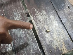 Lagi Santai di Teras Rumah, Warga di Lampung Tertembak Peluru Nyasar