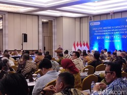 Beras Sumbang Inflasi, Pemprov Sumsel Kembangkan Lahan Sawah Rawa