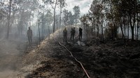 3 Provinsi di Kalimantan Rawan Karhutla, BMKG Siapkan Strategi OMC