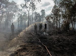 3 Provinsi di Kalimantan Rawan Karhutla, BMKG Siapkan Strategi OMC
