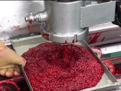5 Video Pabrik Makanan Ini Pertontonkan Pembuatan Sosis Darah hingga Nugget