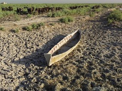 Ini Biang Kerok yang Bikin Warga Jonggol Kesulitan Air Bersih