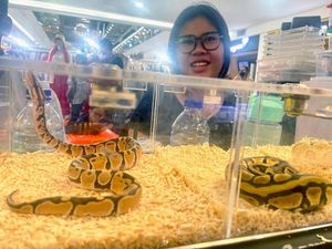 Serunya Mengenal dan Berinteraksi dengan Reptil di Mal