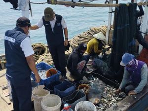 Tangkap Ikan Pakai Cantrang, 9 Kapal Nelayan Ditindak di Kepulauan Seribu Tangkap Ikan Pakai Cantrang, 9 Kapal Nelayan Ditindak di Kepulauan Seribu