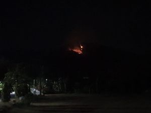 Hutan di Gunung Putuk Cupu Ponorogo Terbakar Hutan di Gunung Putuk Cupu Ponorogo Terbakar