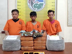 Pengiriman 10 Kg Ganja Via Ekspedisi di Sidimpuan Digagalkan, 3 Pria Ditangkap
