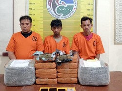 Pengiriman 10 Kg Ganja Via Ekspedisi di Sidimpuan Digagalkan, 3 Pria Ditangkap