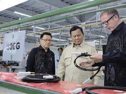 Nat Rothschild, Konglomerat Sahabat Prabowo Investasi di Batam