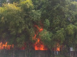 Lapak Tumpukan Kayu di Jaktim Kebakaran, Api Berkobar