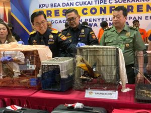 Bea Cukai Soetta Perkuat Kolaborasi Instansi demi Pelestarian Alam RI Bea Cukai Soetta Perkuat Kolaborasi Instansi demi Pelestarian Alam RI