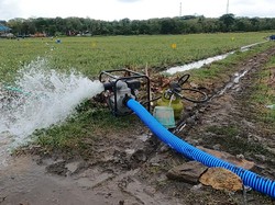 Kementan Tegaskan Pompanisasi Berdampak Positif pada Produksi Padi Nasional