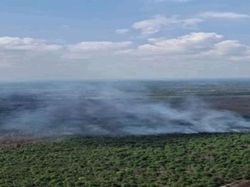 Sudah 12 Hari Belum Padam, Karhutla di PALI Meluas hingga 23 Hektare