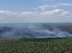 Sudah 12 Hari Belum Padam, Karhutla di PALI Meluas hingga 23 Hektare