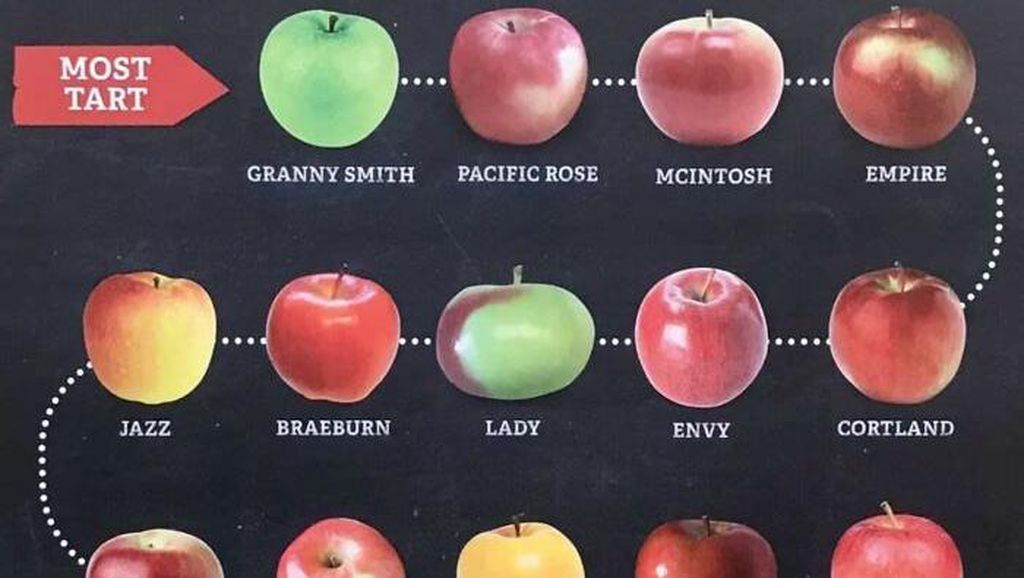 Keren! 10 Diagram Makanan Ini Sangat Informatif Buat Foodies Keren! 10 Diagram Makanan Ini Sangat Informatif Buat Foodies