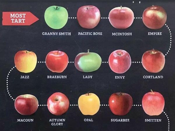 Keren! 10 Diagram Makanan Ini Sangat Informatif Buat Foodies