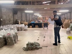 5 Fakta Pabrik Bakso Pakai Jeroan Sapi di Bekasi Diusut Polisi