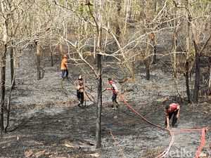 Kebakaran Hebat Lahan Jati di Wates Kulon Progo Sempat Ancam Rusunawa Kebakaran Hebat Lahan Jati di Wates Kulon Progo Sempat Ancam Rusunawa