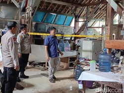 Viral Bapak Kost Terpergok Makan Daging Kucing, Ini 3 Bahayanya
