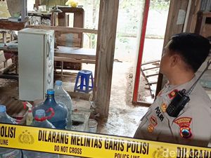 Makan Daging Kucing untuk Atasi Diabetes Dipastikan Hoax, Dokter Singgung Risikonya Makan Daging Kucing untuk Atasi Diabetes Dipastikan Hoax, Dokter Singgung Risikonya