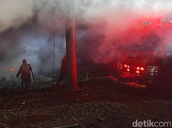 Kandang di Cimohong Brebes Terbakar, 30 Ribu Anak Ayam Mati