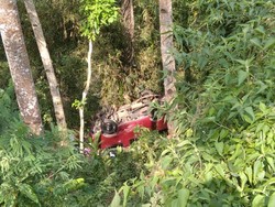 Mobil Sekeluarga Terjun ke Jurang di Langkat, 3 Penumpang Tewas-7 Luka