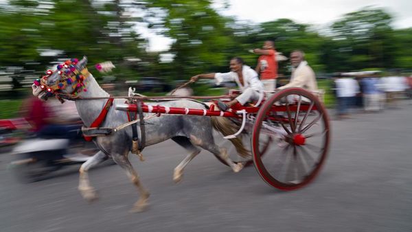 Unik, Ada Lomba Balap Kereta Kuda Tradisional di India
