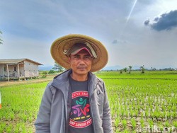 Uus Tak Lagi Sulit Air untuk Garap Lahan Pertanian di Bandung