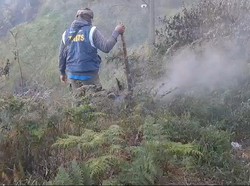 Hutan Bukit Kingkong Kawasan Bromo Terbakar
